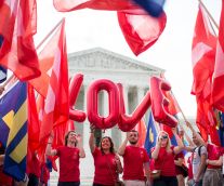 Same-sex marriages in the US: the elation & arguments around a historic verdict  