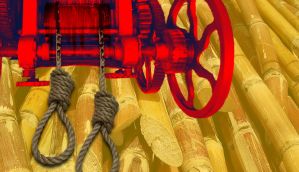 Karnataka sugarcane farmer suicides: what can be done to stop the rot 