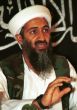 Laden's family members killed in plane crash in England 