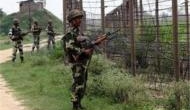 Two militants arrested in Jammu-Kashmir