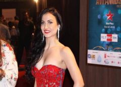 I would love to work with Salman Khan:  Elli Avram 