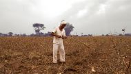 Drought, death & destroyed crops: just how much more can Marathwada take 
