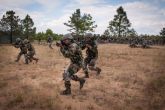 Myanmar: Indian security forces strike again, three militants killed 