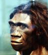 Meet our newest ancestor: Homo Naledi 