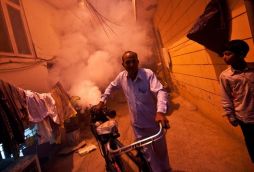 Fumigation ineffective against dengue, worsens respiratory problems: CSE 