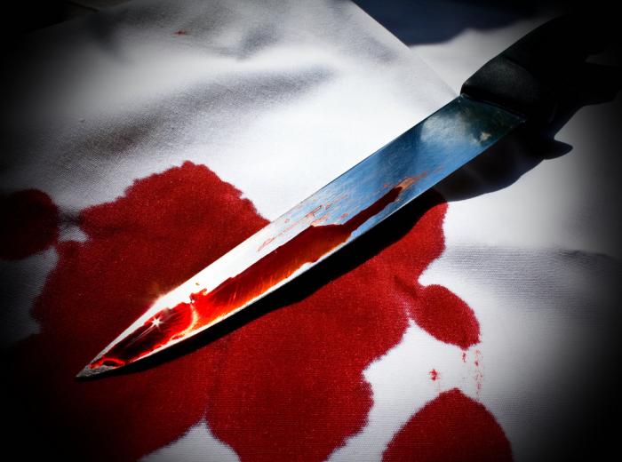7 wounded in Paris knife attack, including British tourists