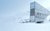 The world has a doomsday seed vault in the Arctic, and it just saw a withdrawal 
