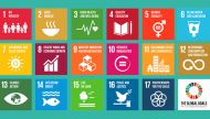 Sustainable Development Goals: Can we pull them off? 