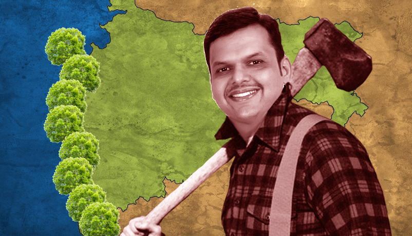 Forest fight: Fadnavis' toilets versus minister's mangroves 