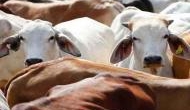 'Beef fests' held in Kerala to mock Govt's ban on slaughter sale