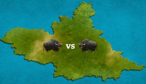 No wave yet, Bihar election is down to seat-by-seat contests 