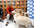  The dog is fine. Beware of Somnath Bharti & wife 