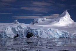 Antarctic glaciers might melt at a double rate by 2050 