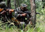 Pulwama: Three militants killed in encounter 