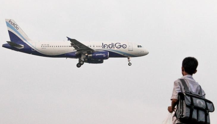 IINDIGO