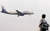 Before IPO listing, Indigo manages to raise Rs 832 crore from anchor investors 