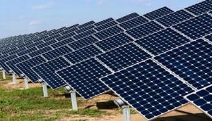 Solar energy developers sentiment low, capacity addition slows down: Report