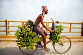#BiharPolls: Hajipur's banana farmers won't fall for slippery netas this time 