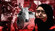 Positive pushback: Kashmiri Pandits protest against cow politics in Kashmir & the murder of Zahid 