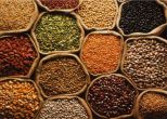 India may need to import 10 MT of pulses to tame prices: Assocham 