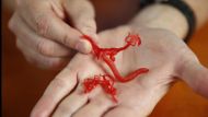 Scientists develop world's first 3D blood vessel bio-printer 