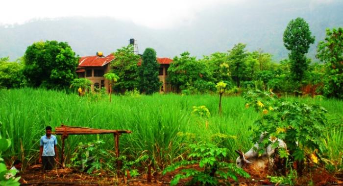 ISKCON's Govardhan Eco Village near Mumbai gets 'Water' award