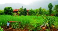 ISKCON eco village to hold spiritual ecology meet 