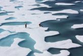 Arctic Ocean to have watery days by 2050s: study 