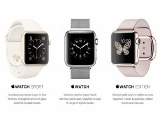 Did you know how expensive is Apple's most expensive watch? 