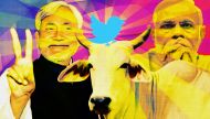 'No cows were harmed in this defeat': social media trolls BJP 