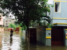 Why Andhra is benefitting from heavy rains even as Tamil Nadu suffers 