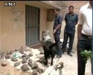 Live bombs discovered in Patna; bomb squad reaches the spot 
