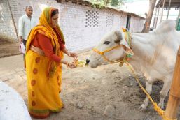 In pictures: #ChhathPuja festivities begin at Lalu Prasad Yadav's house 