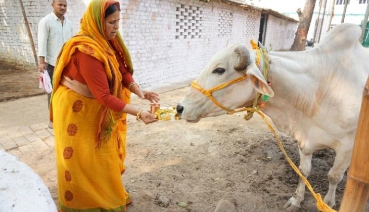 rabri devi