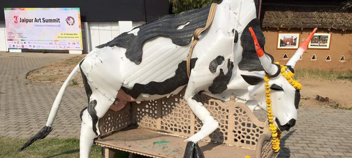 2,700 cows die in a Jaipur shelter each month. The one they're protecting is plastic 
