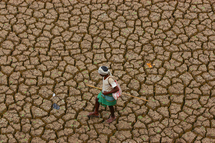 Maharashtra launches website, app to analyse drought situation