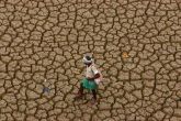 As Chennai floods, drought compels 3 farmers to commit suicide in Nashik 