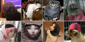 Here's how Brussels is helping police track terrorists with cat memes 