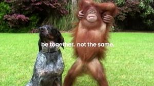 WATCH: Google's video ad showing interspecies friendship is the most shared ever 