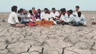 95% of MP's drought-affected farmers are angry with their govt. Here's why 