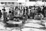 10,000 dead, 1,20,000 affected: The Bhopal gas tragedy in numbers 
