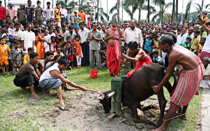 Break with Tradition: No more animal sacrifice in two West Bengal temples 