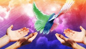 A Pak professor tells Muslims:  lets blow some whistle on ourselves  