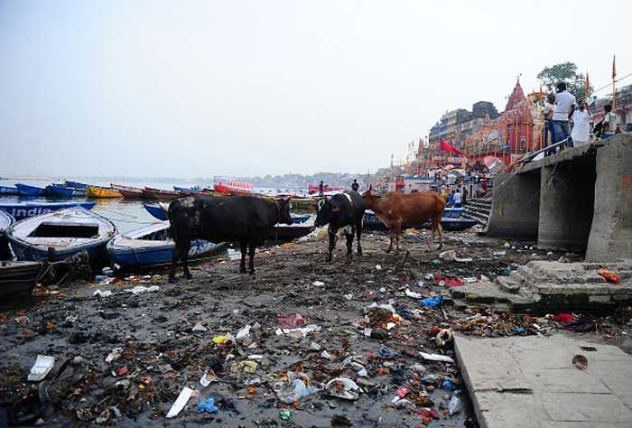 गंगा संरक्षण मुहिम: रिवर बेसिन में हाइडल प्रोजेक्ट्स पर रोक लगाने का फैसला  