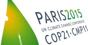 First look at the COP 21 deal: what's in-what's out? 