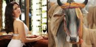 Move over Sunny Leone, Yahoo's 2015 'Personality Of The Year' is Cow 