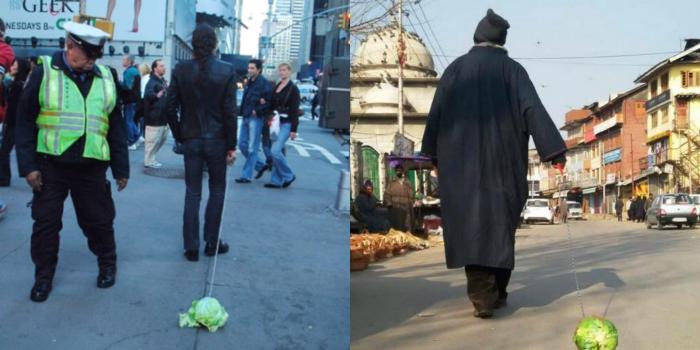 From Beijing to Kashmir: here's the curious case of a Kashmiri cabbage walker 