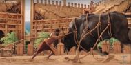 Baahubali: What went into filming the epic bull-fight sequence with Rana Daggubati 