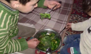 Starving Syrians from Madaya forced to eat grass and cats 