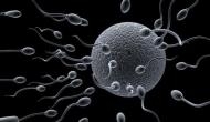 Frozen sperm retains viability in outer space: Study